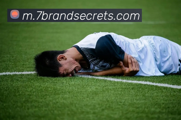 App 示例图